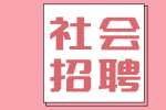 云南大理祥云县统计局面向社会招聘工作人员