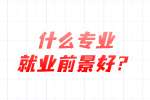 云南就业：云南什么专业就业前景好？