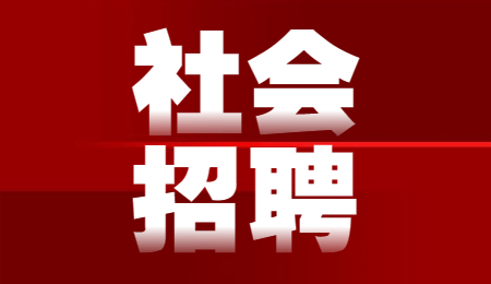 红河社会招聘