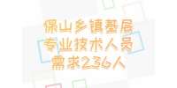 保山事业单位招聘：乡镇基层专业技术人员需求236人