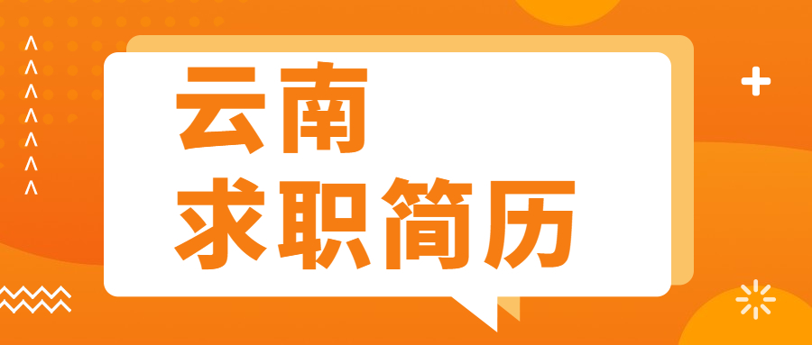 云南求职简历