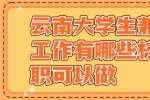 云南大学生兼职找工作有哪些校园兼职可以做？