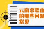 云南求职面试中的哪些问题比较常见?