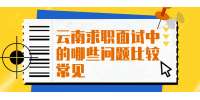 云南求职面试中的哪些问题比较常见?