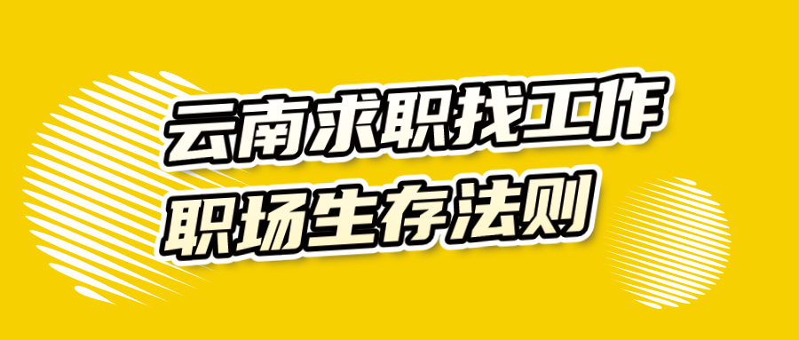 云南求职找工作