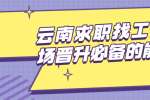 云南求职找工作职场晋升必备的能力