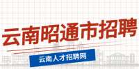 2022云南昭通市盐津县卫生健康局引进人才公告